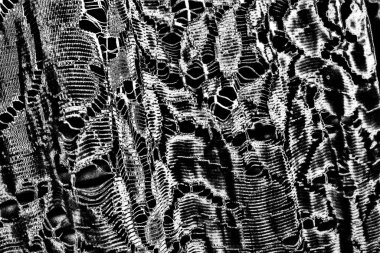 Soyut siyah beyaz arkaplan. Monokrom dokusu