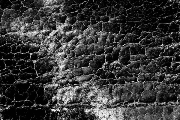 Sfondo Astratto Texture Monocromatica Immagine Compreso Effetto Toni Bianco Nero — Foto Stock