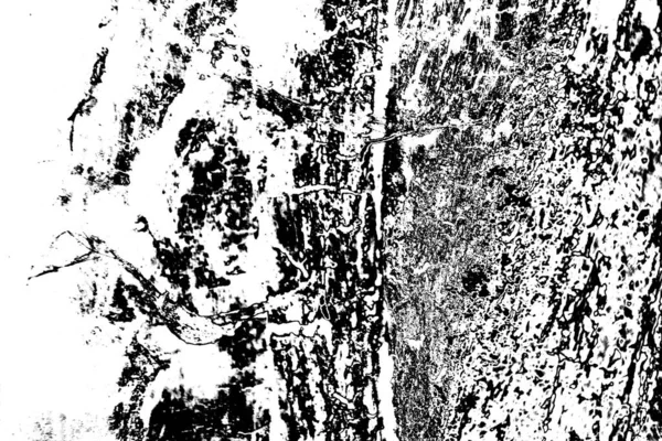 Sfondo Astratto Texture Monocromatica Immagine Compreso Effetto Toni Bianco Nero — Foto Stock