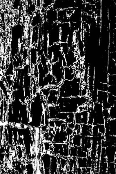 Fundo Abstrato Textura Monocromática Imagem Incluindo Efeito Tons Preto Branco — Fotografia de Stock