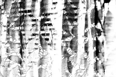 Soyut siyah beyaz arkaplan. Monokrom dokusu