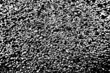 Soyut siyah beyaz arkaplan. Monokrom dokusu