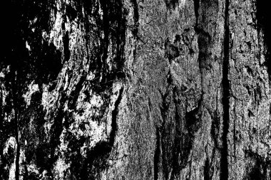 Soyut arkaplan. monokrom dokusu. resim siyah ve beyaz tonları içerir.