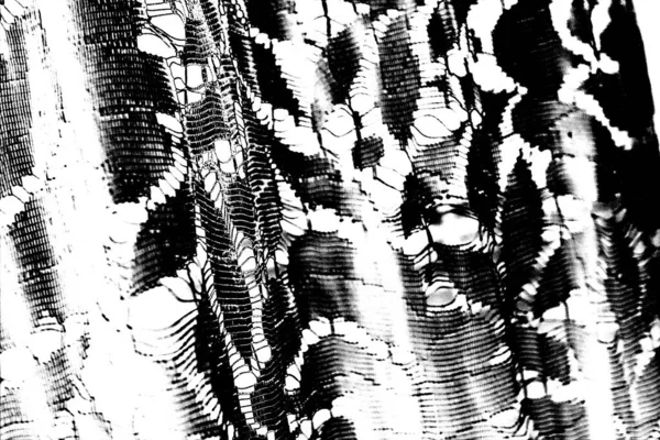 Fondo Texturizado Blanco Negro Abstracto Textura Monocromática — Foto de Stock