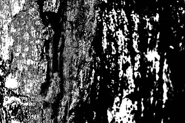 Sfondo Astratto Texture Monocromatica Immagine Compreso Effetto Toni Bianco Nero — Foto Stock