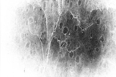 Soyut arkaplan. monokrom dokusu. resim siyah ve beyaz tonları içerir.