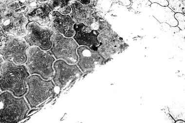 Soyut arkaplan. monokrom dokusu. resim siyah ve beyaz tonları içerir.