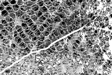 Soyut siyah beyaz arka plan. monokrom dokusu. 