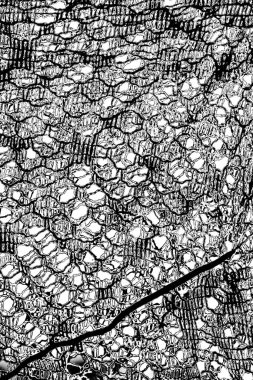 Soyut arkaplan. monokrom dokusu. resim siyah ve beyaz tonları içerir.