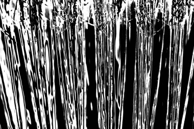 Soyut grunge arkaplanı. Monokrom dokusu. Siyah ve beyaz desenli arkaplan