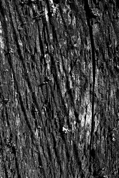 Fondo Grunge Abstracto Textura Monocromática Fondo Texturizado Blanco Negro —  Fotos de Stock