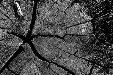 Soyut grunge arkaplanı. Monokrom dokusu. Siyah ve beyaz desenli arkaplan