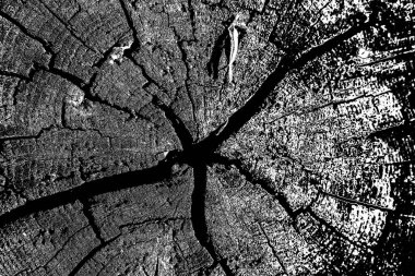 Soyut grunge arkaplanı. Monokrom dokusu. Siyah ve beyaz desenli arkaplan