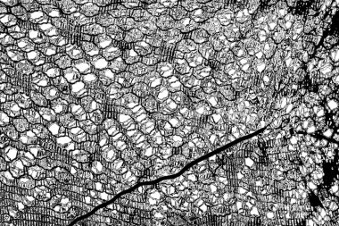 Soyut arkaplan. monokrom dokusu. resim siyah ve beyaz tonları içerir.