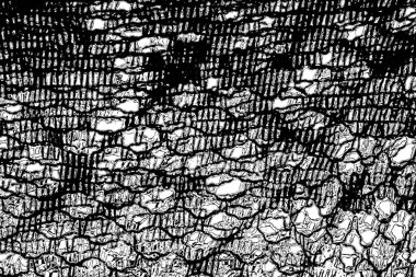 Soyut grunge arkaplanı. Monokrom dokusu. Siyah ve beyaz desenli arkaplan