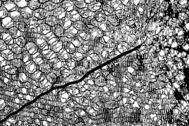 Soyut arkaplan. monokrom dokusu. resim siyah ve beyaz tonları içerir.