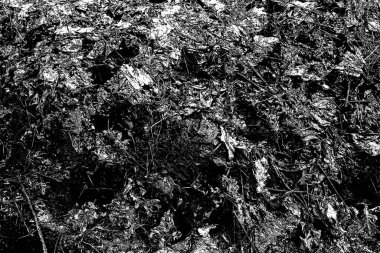 Soyut grunge arkaplanı. Monokrom dokusu. Siyah ve beyaz desenli arkaplan