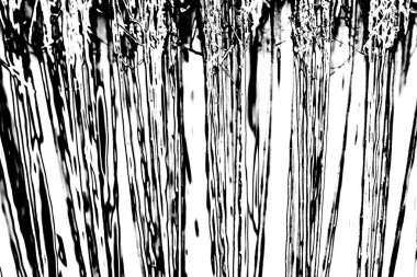 Soyut siyah beyaz arka plan. monokrom dokusu. 