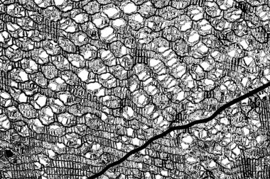 Soyut arkaplan. monokrom dokusu. resim siyah ve beyaz tonları içerir.