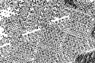 Soyut siyah beyaz arka plan. monokrom dokusu. 