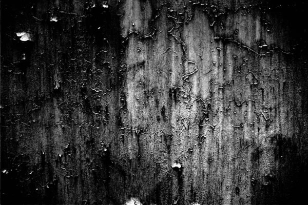 Fondo Grunge Abstracto Textura Monocromática Fondo Texturizado Blanco Negro —  Fotos de Stock