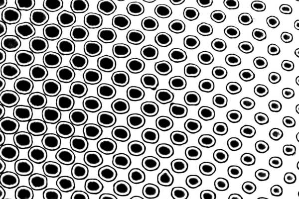 Fondo Abstracto Blanco Negro Textura Monocromática — Foto de Stock