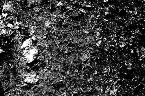 Fondo Grunge Abstracto Textura Monocromática Fondo Texturizado Blanco Negro — Foto de Stock