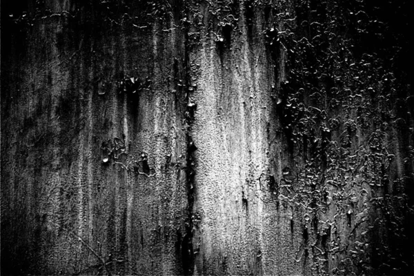 Sfondo Astratto Grunge Struttura Monocromatica Bianco Nero Sfondo Strutturato — Foto Stock