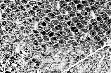 Soyut siyah beyaz arka plan. monokrom dokusu. 