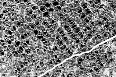 Soyut arkaplan. monokrom dokusu. resim siyah ve beyaz tonları içerir.