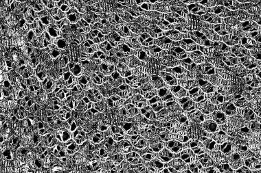 Soyut grunge arkaplanı. Monokrom dokusu. Siyah ve beyaz desenli arkaplan