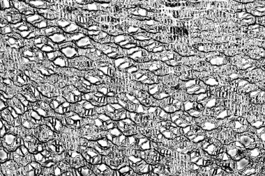 Soyut grunge arkaplanı. Monokrom dokusu. Siyah ve beyaz desenli arkaplan