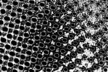 Soyut grunge arkaplanı. Monokrom dokusu. Siyah ve beyaz desenli arkaplan