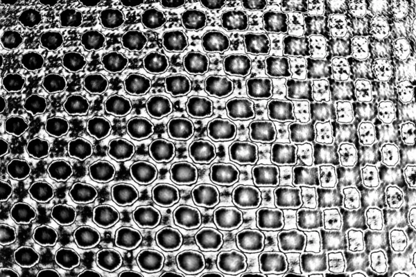 Résumé Fond Grunge Texture Monochrome Fond Texturé Noir Blanc — Photo