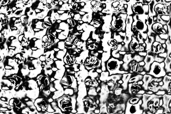 Fondo Grunge Abstracto Textura Monocromática Fondo Texturizado Blanco Negro — Foto de Stock