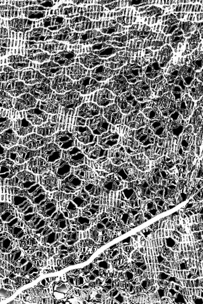 Soyut arkaplan. monokrom dokusu. resim siyah ve beyaz tonları içerir.
