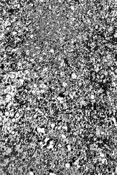 Résumé Fond Grunge Texture Monochrome Fond Texturé Noir Blanc — Photo