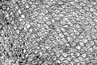 Soyut arkaplan. monokrom dokusu. resim siyah ve beyaz tonları içerir.
