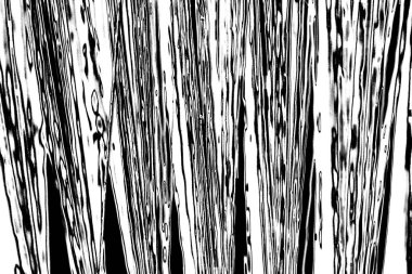 Soyut grunge arkaplanı. Monokrom dokusu. Siyah ve beyaz desenli arkaplan