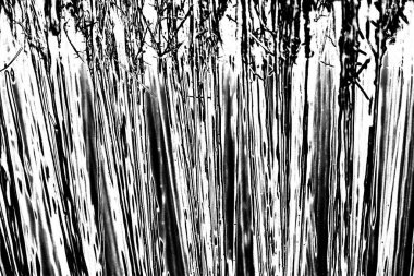 Soyut grunge arkaplanı. Monokrom dokusu. Siyah ve beyaz desenli arkaplan