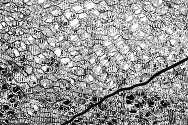 Soyut arkaplan. monokrom dokusu. resim siyah ve beyaz tonları içerir.