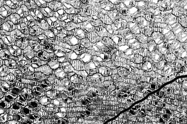 Soyut arkaplan. monokrom dokusu. resim siyah ve beyaz tonları içerir.