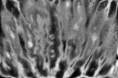 Soyut grunge arkaplanı. Monokrom dokusu. Siyah ve beyaz desenli arkaplan