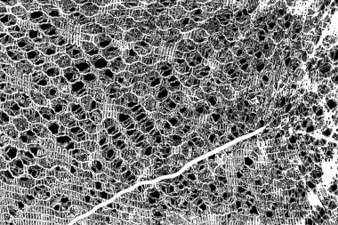Soyut arkaplan. monokrom dokusu. resim siyah ve beyaz tonları içerir.