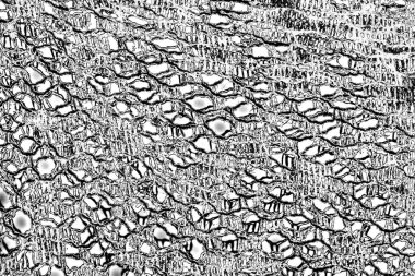 Soyut grunge arkaplanı. Monokrom dokusu. Siyah ve beyaz desenli arkaplan