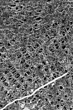 Soyut grunge arkaplanı. Monokrom dokusu. Siyah ve beyaz desenli arkaplan