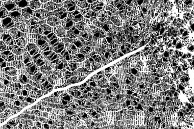 Soyut arkaplan. monokrom dokusu. resim siyah ve beyaz tonları içerir.