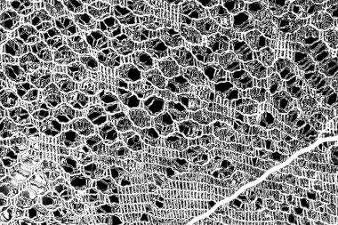 Soyut arkaplan. monokrom dokusu. resim siyah ve beyaz tonları içerir.