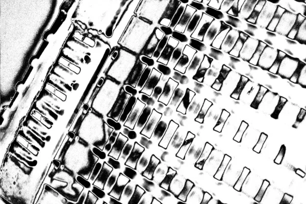 Fondo Grunge Abstracto Textura Monocromática Fondo Texturizado Blanco Negro —  Fotos de Stock