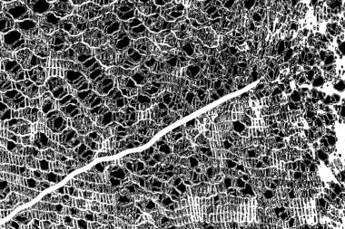 Soyut arkaplan. monokrom dokusu. resim siyah ve beyaz tonları içerir.